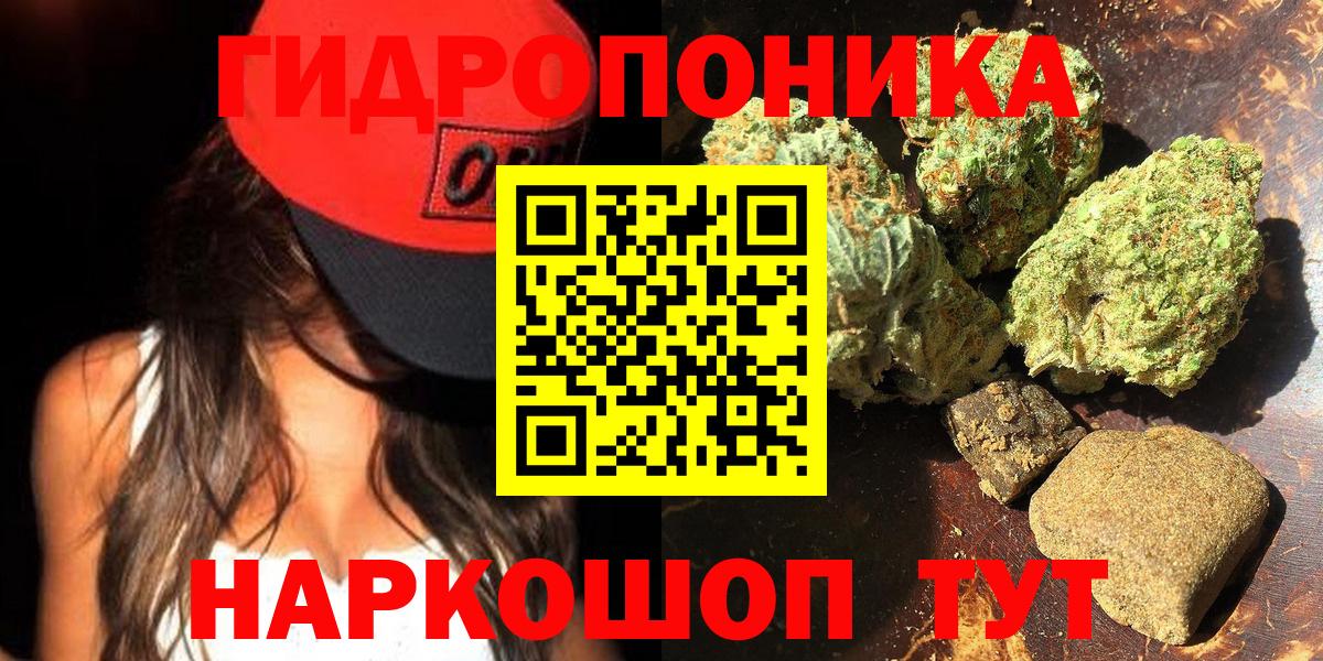 Каннабис план Лесосибирск